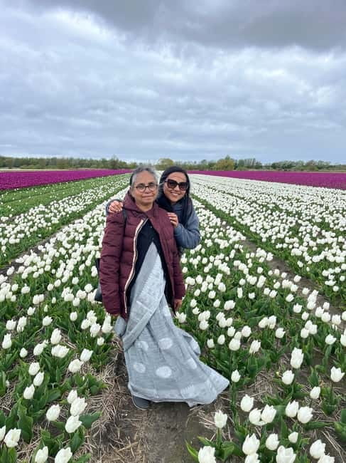 Amsterdam: Private Keukenhof and Free Tulip Tour - My practical verdict on the Keukenhof day