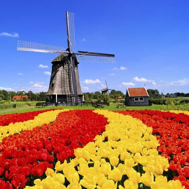 Amsterdam: Private Keukenhof and Free Tulip Tour - Why a private Keukenhof visit can be worth it