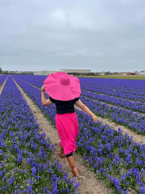 Amsterdam: Private Keukenhof and Free Tulip Tour - What the guides add to the day