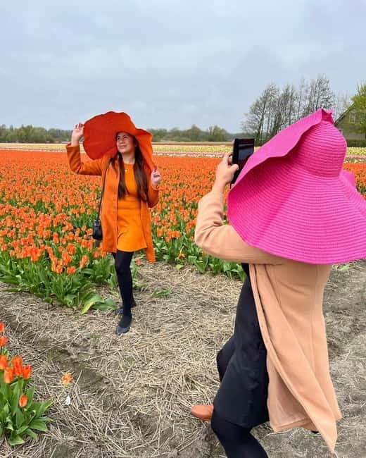 Amsterdam: Private Keukenhof and Free Tulip Tour - Pickup from Amsterdam, Schiphol, and South Holland