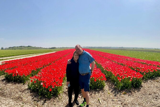 Amsterdam Private Tour to Keukenhof, Tulip Fields and Windmills - Why this private day trip works