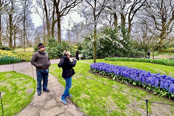 Amsterdam Private Tour to Keukenhof, Tulip Fields and Windmills - Driving from Amsterdam without the transport headache