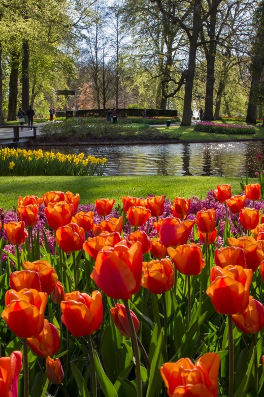 Amsterdam: Tour to Keukenhof Gardens with Windmill Cruise - Choosing the right departure time