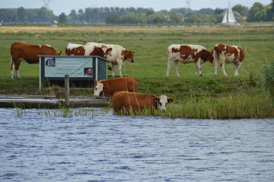 Amsterdam: Tour to Keukenhof Gardens with Windmill Cruise - Warmond and the Kaag Lakes windmill cruise