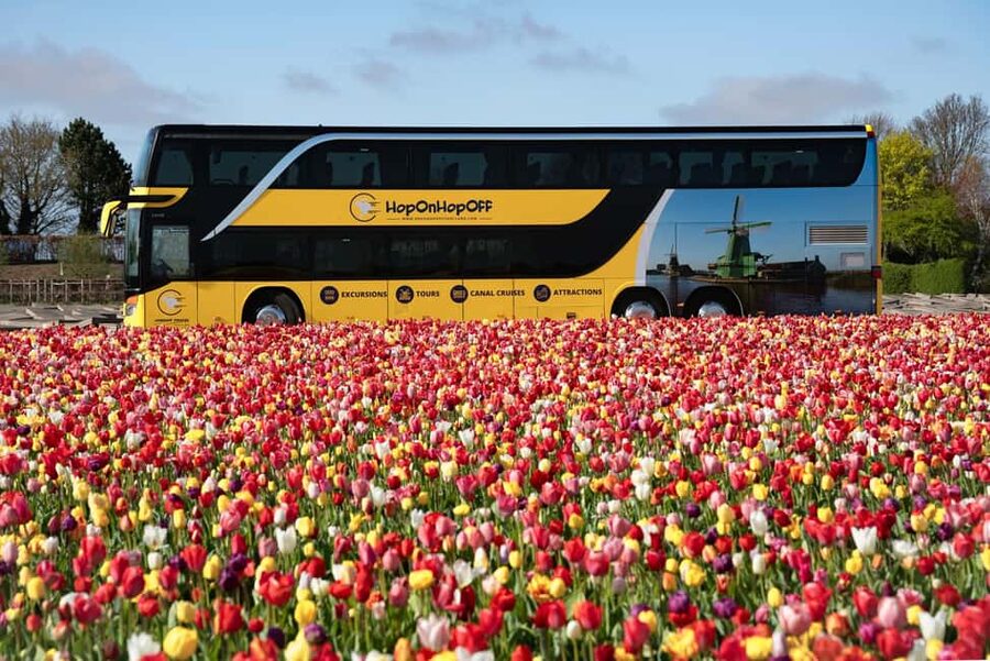 Amsterdam: Tulip Farm Visit, Keukenhof, and Windmill Cruise - Keukenhof deserves the long afternoon