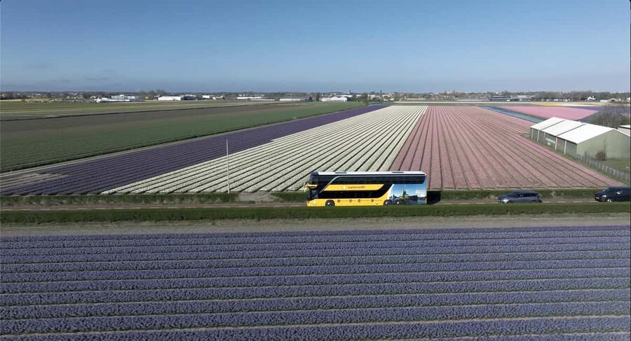 Amsterdam: Tulip Farm Visit, Keukenhof, and Windmill Cruise - Who will enjoy this tour most