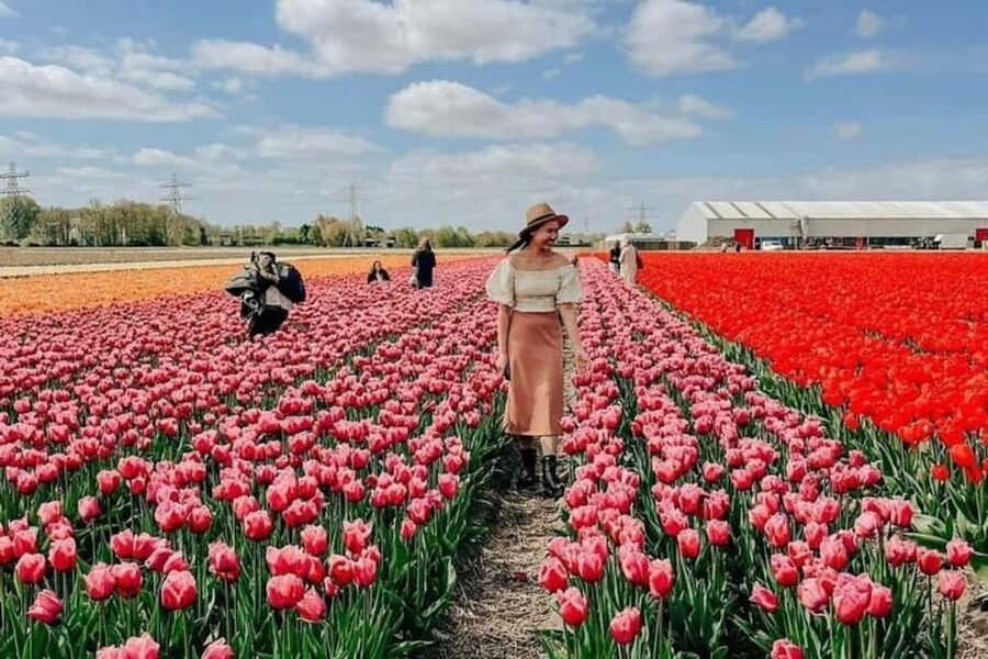 Amsterdam: Tulip Farm Visit, Keukenhof, and Windmill Cruise - The tulip farm gives the day its personal touch