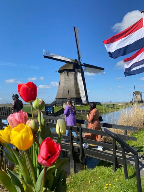 Amsterdam: Tulip Fields Day Tour with Lunch & Windmill - Why this tulip trip is different from a garden visit