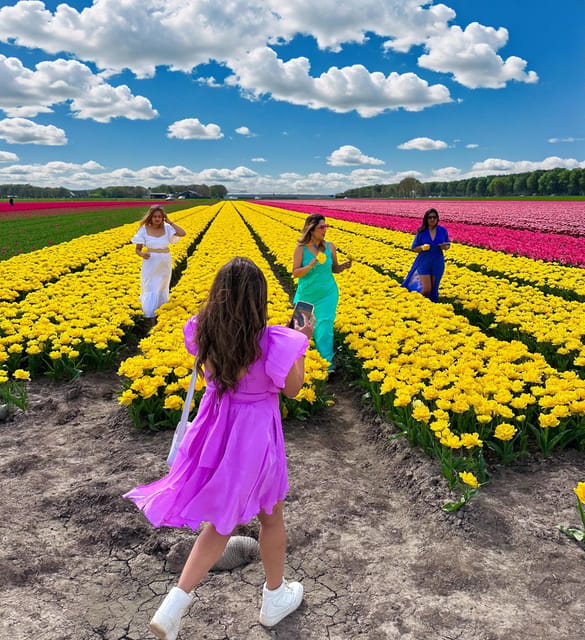 Amsterdam: Tulip Fields Day Tour with Lunch & Windmill - The coach ride north and the first flower fields
