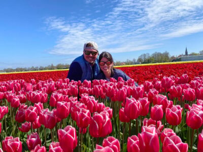 Tulip Fields Day Tour with Lunch & Windmill