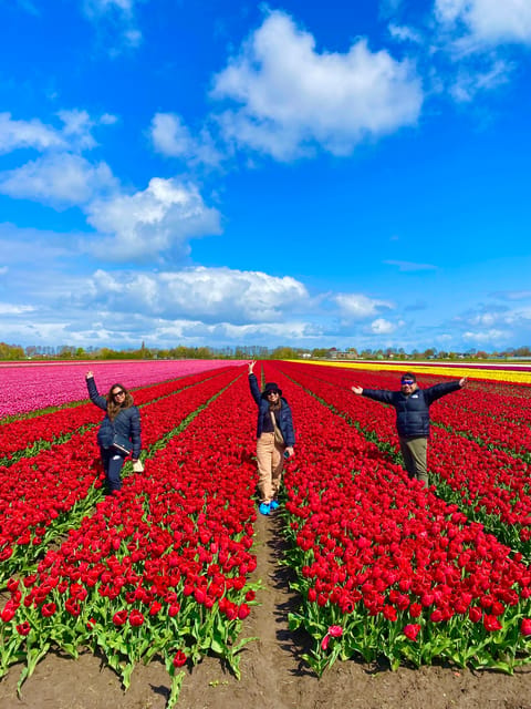 Amsterdam: Tulip Fields Day Tour with Lunch & Windmill - The 1633 windmill and the working machinery