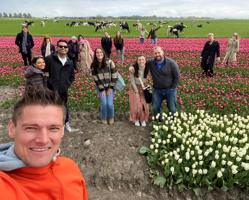 Amsterdam: Tulip Fields Day Tour with Lunch & Windmill - Comfort, group size, and the pace of the day