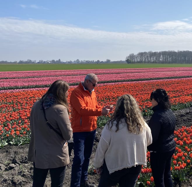Amsterdam: Tulip Fields Day Tour with Lunch & Windmill - Tulip season: the most important booking decision