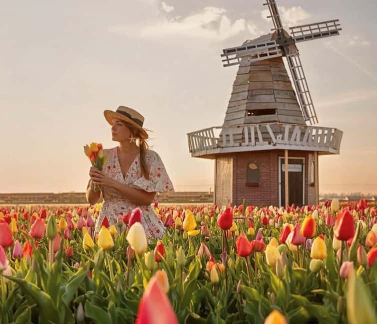 Amsterdam : Tulip Wonderland Tour - The Best Parts of This Tulip Outing