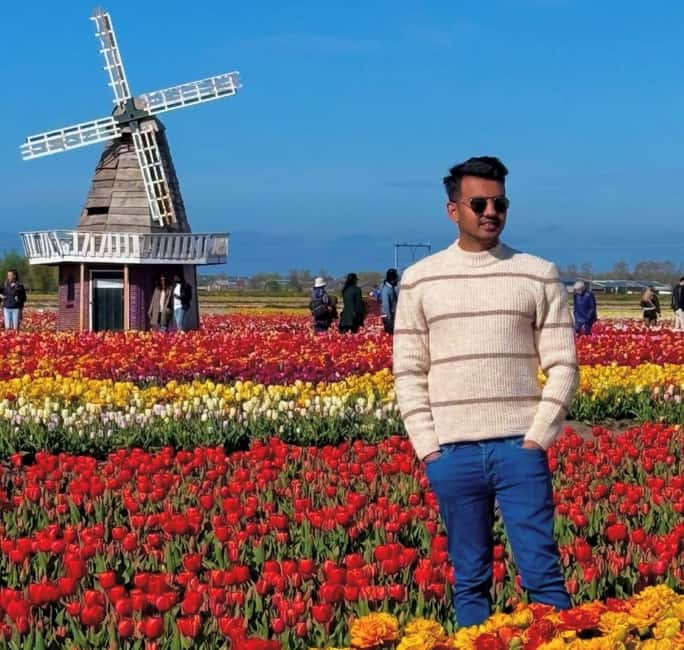 Amsterdam : Tulip Wonderland Tour - The 30-Minute Ride Through South Holland