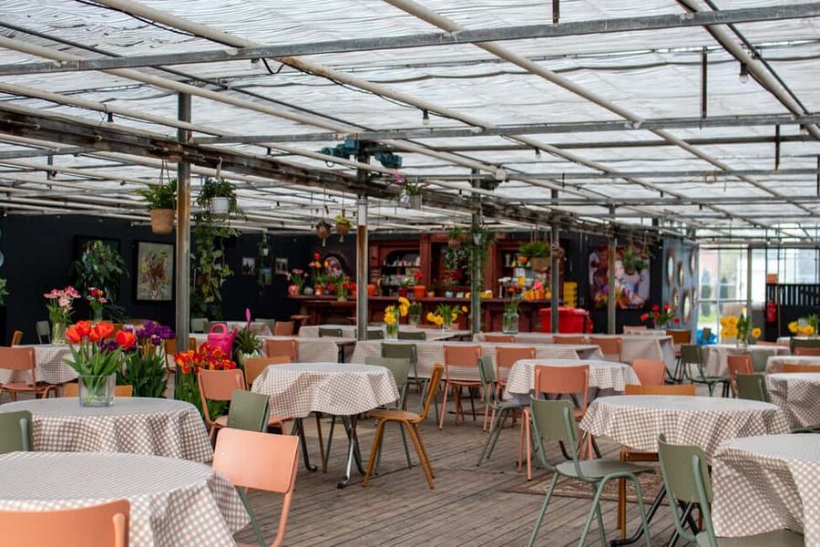 Amsterdam : Tulip Wonderland Tour - Walking Through the Tulip Barn Garden