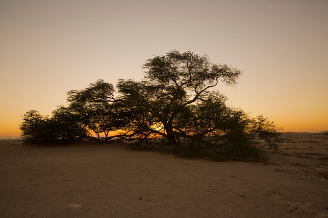 Ancient Garden of Eden - Bahrain International Circuit: the modern desert surprise