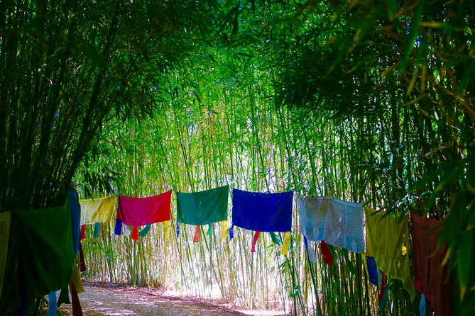 Anima Garden Admission Ticket - Who will enjoy ANIMA most?