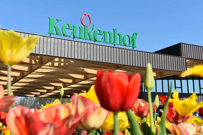 Antwerp: Full-day Holland Guided Keukenhof & Windmills Tour - Why this makes sense from Antwerp