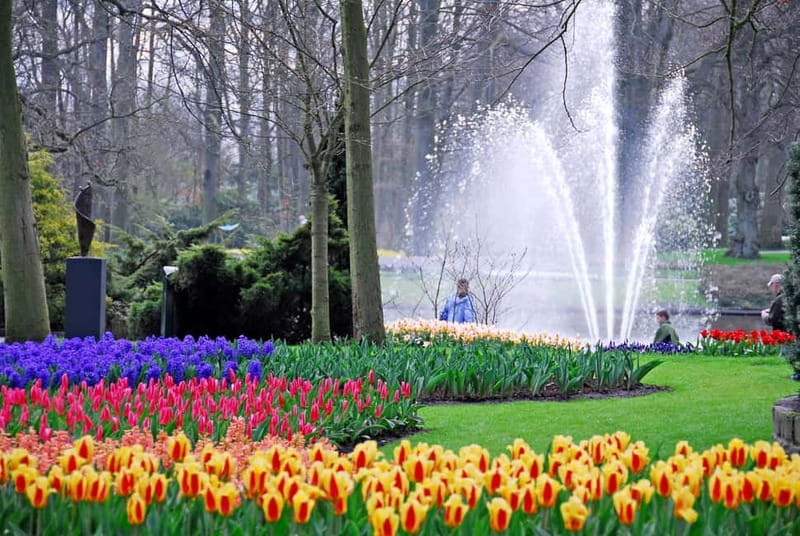 Antwerp: Full-day Holland Guided Keukenhof & Windmills Tour - Kinderdijk: what the alternate schedule promises