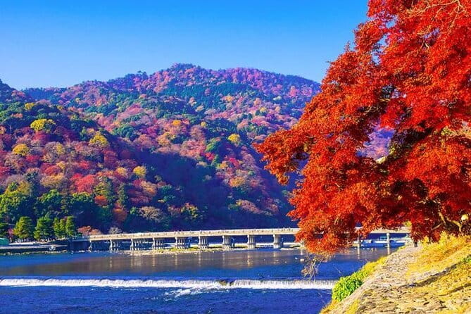 Arashiyama Bamboo & "Must See" Gardens with an Amazing Guide - Starting at Tully’s Coffee near Randen Station