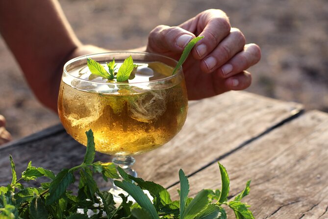 Aromatic Experience in the Medicinal Garden in Ibiza - Key points before you book