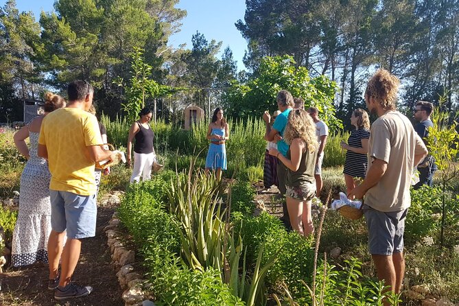 Aromatic Experience in the Medicinal Garden in Ibiza - Why this northern Ibiza garden feels different