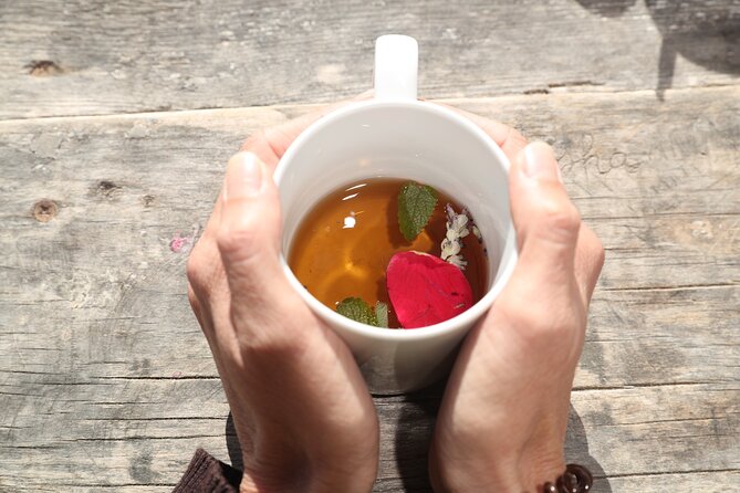 Aromatic Experience in the Medicinal Garden in Ibiza - Who will enjoy this activity most?
