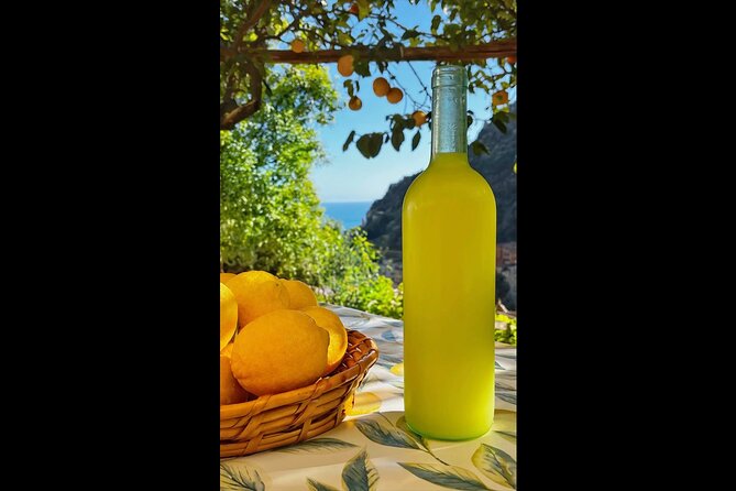 Authentic Amalfi Lemon Tour & Tasting in the Historical Garden - The view over Amalfi is part of the reward
