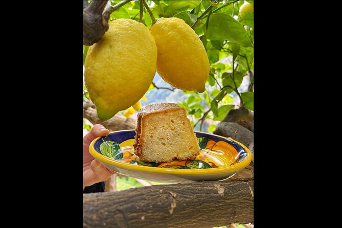 Authentic Amalfi Lemon Tour & Tasting in the Historical Garden - Is $49.48 a fair price?