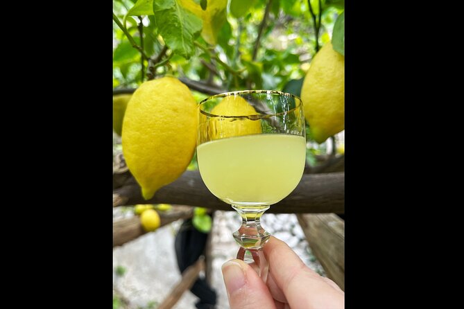 Authentic Amalfi Lemon Tour & Tasting in the Historical Garden - Who should book this Amalfi lemon tour?
