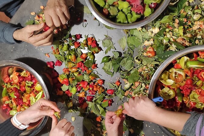 Authentic Garden to Table Cooking Class in Dubrovnik Countryside - Walking the garden and gathering the meal