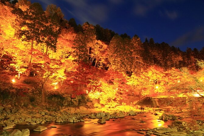 Autumn leaves＆ illuminations at Korankei , winter cherry blossoms - The 50-minute Obara stop: what to expect