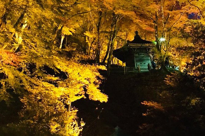 Autumn leaves＆ illuminations at Korankei , winter cherry blossoms - Guide communication and group size