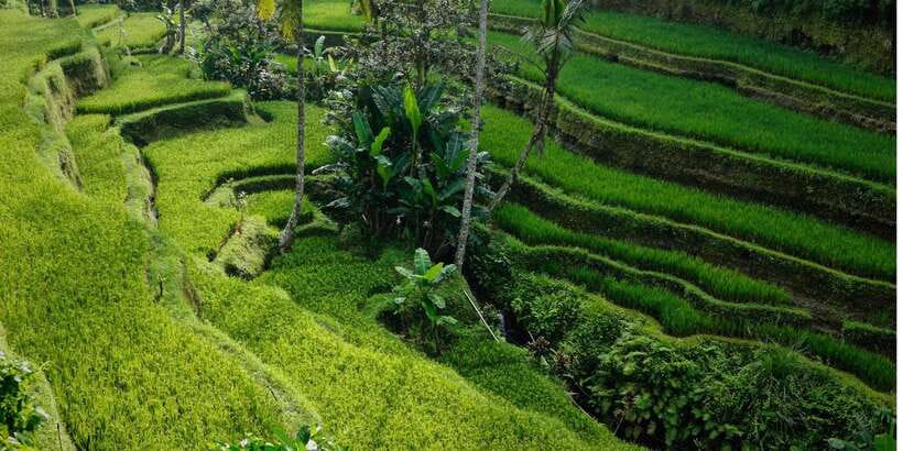 Bali: Secret Garden, Ulun Danu Temple and Waterfall Tour - Lunch is simple, separate, and worth planning for