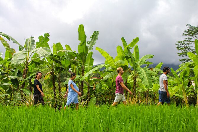 Balinese Vegan Cooking Class with Fresh Harvesting & Garden Tour - A garden-to-table class near Sidemen