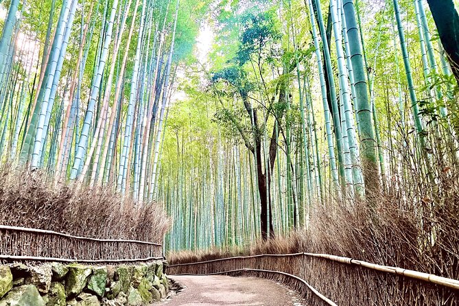 Bamboo Grove Temple and Garden Views Tour - Key points at a glance