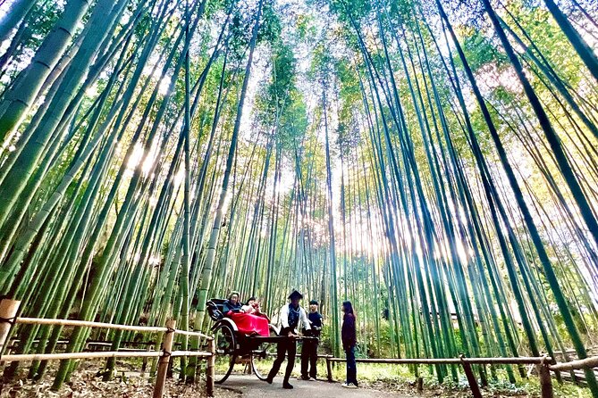 Bamboo Grove Temple and Garden Views Tour - Why this five-hour Arashiyama walk works