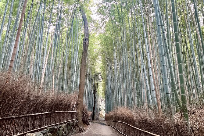 Bamboo Grove Temple and Garden Views Tour - Okochi Sanso Garden and Kyoto from the hillside