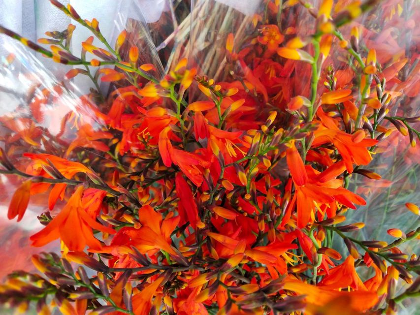 Bangkok:4Hour Flower Market and Little India Tour Mini Group - Finishing near Chinatown with time to continue