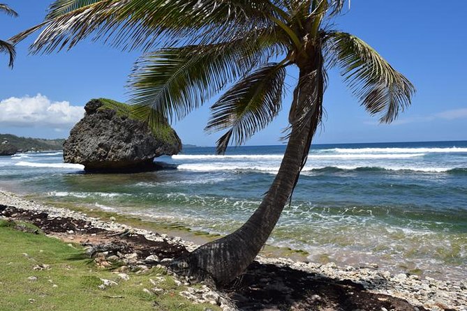 Barbados Small-Group Garden & Wildlife Half-Day Tour - Bathsheba Beach and the mushroom rocks