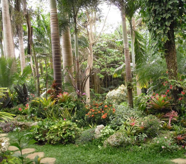 Barbados: Tour of Harrison's Cave & Hunte's Gardens - Wandering through Hunte’s Gardens