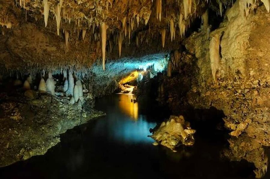 Barbados: Tour of Harrison's Cave & Hunte's Gardens - Transport, pickup, and the five-hour schedule