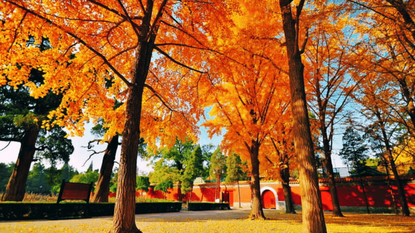 Beijing: JingShan park (palace museum garden) entry ticket - Why Jingshan Park deserves time in Beijing
