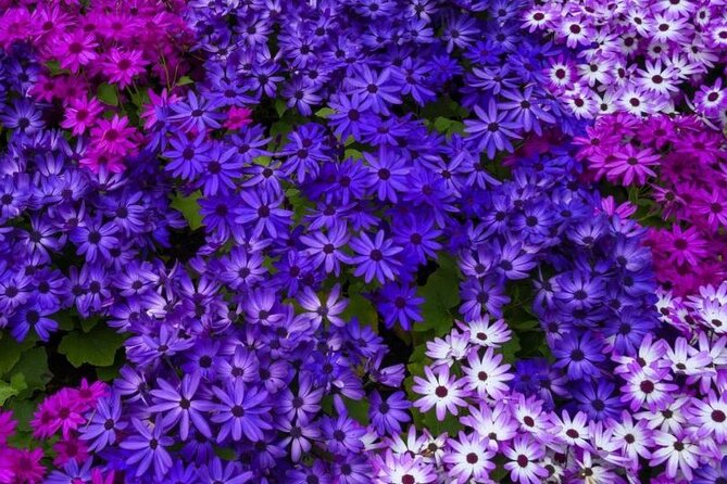 Best of Victoria and Butchart Gardens Day Tour from Vancouver - Two hours among the flowers at Butchart Gardens