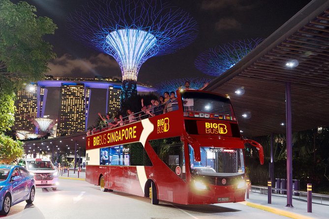 Big Bus Singapore Night Tour with Gardens by the Bay Light Show - Marina Barrage and the sunset skyline