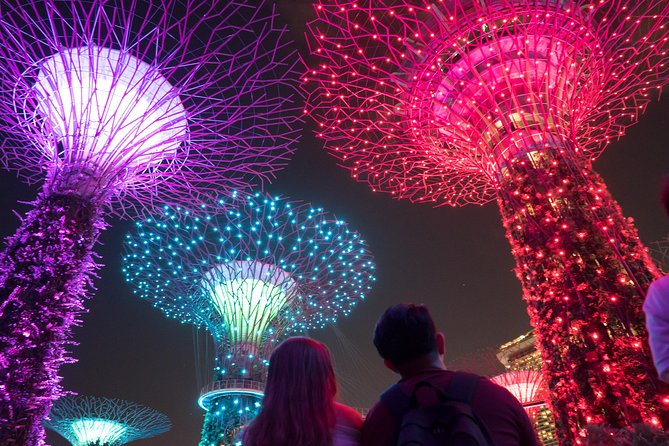Big Bus Singapore Night Tour with Gardens by the Bay Light Show - Is $52.48 good value?
