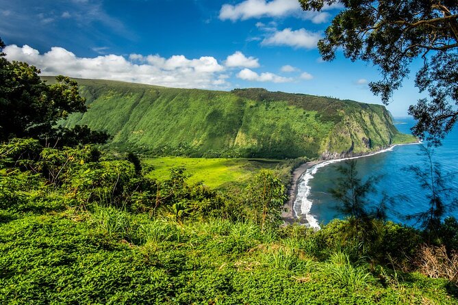 Big Island Waterfalls Tour with Swimming and Botanical Garden - Hawaii Tropical Botanical Garden: The Most Relaxed Walk