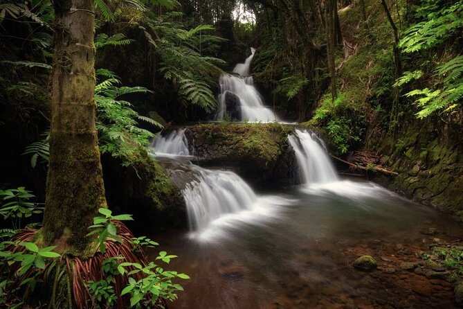Big Island Waterfalls Tour with Swimming and Botanical Garden - Akaka Falls and Rainbow Falls in Hilo