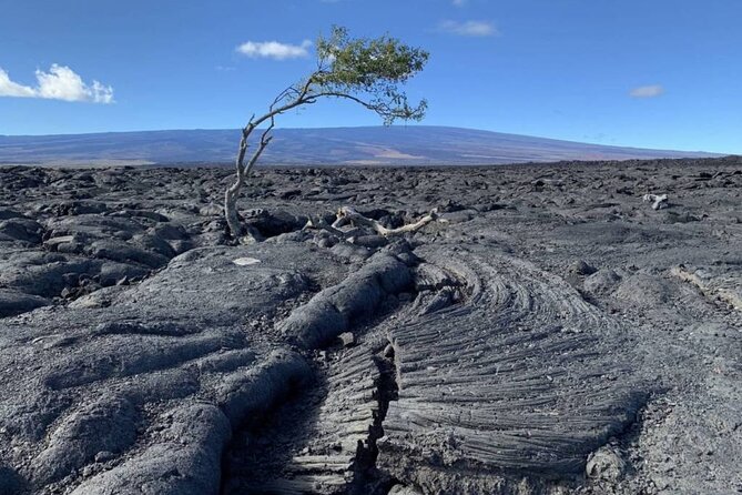Big Island Waterfalls Tour with Swimming and Botanical Garden - Lunch, Snacks, and the Long Ride Home